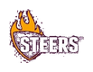 Steers